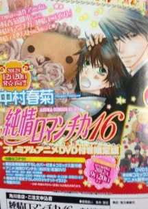 Junjou Romantica (2012)