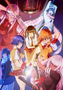 Shin Ikkitousen