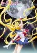 Pretty Guardian Sailor Moon: Crystal (Dub)